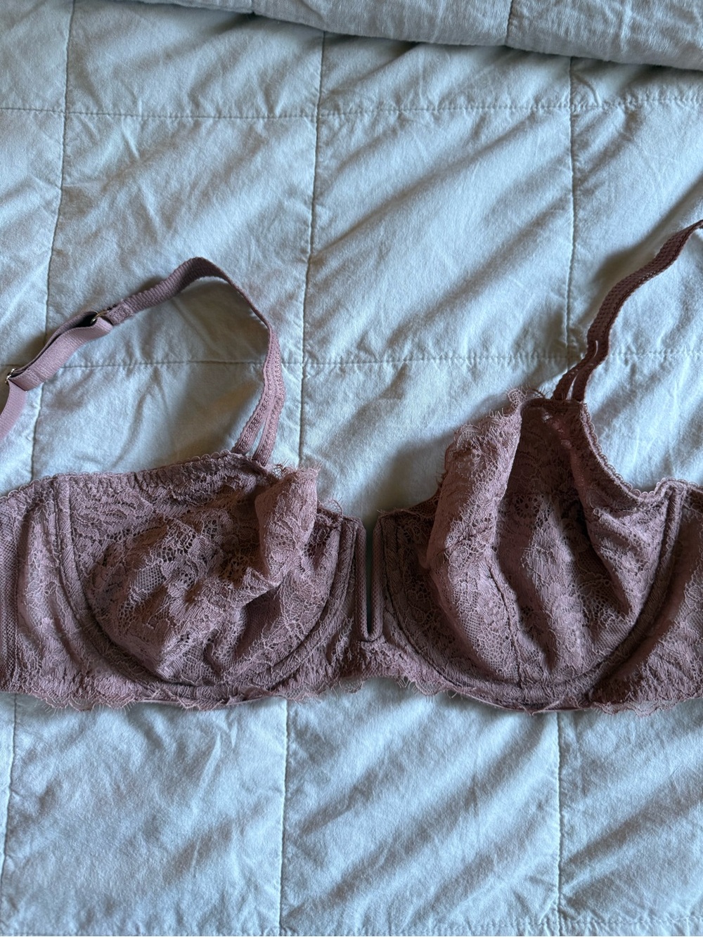 auden Lace Underwire Bra in Dusty Rose - 36DD